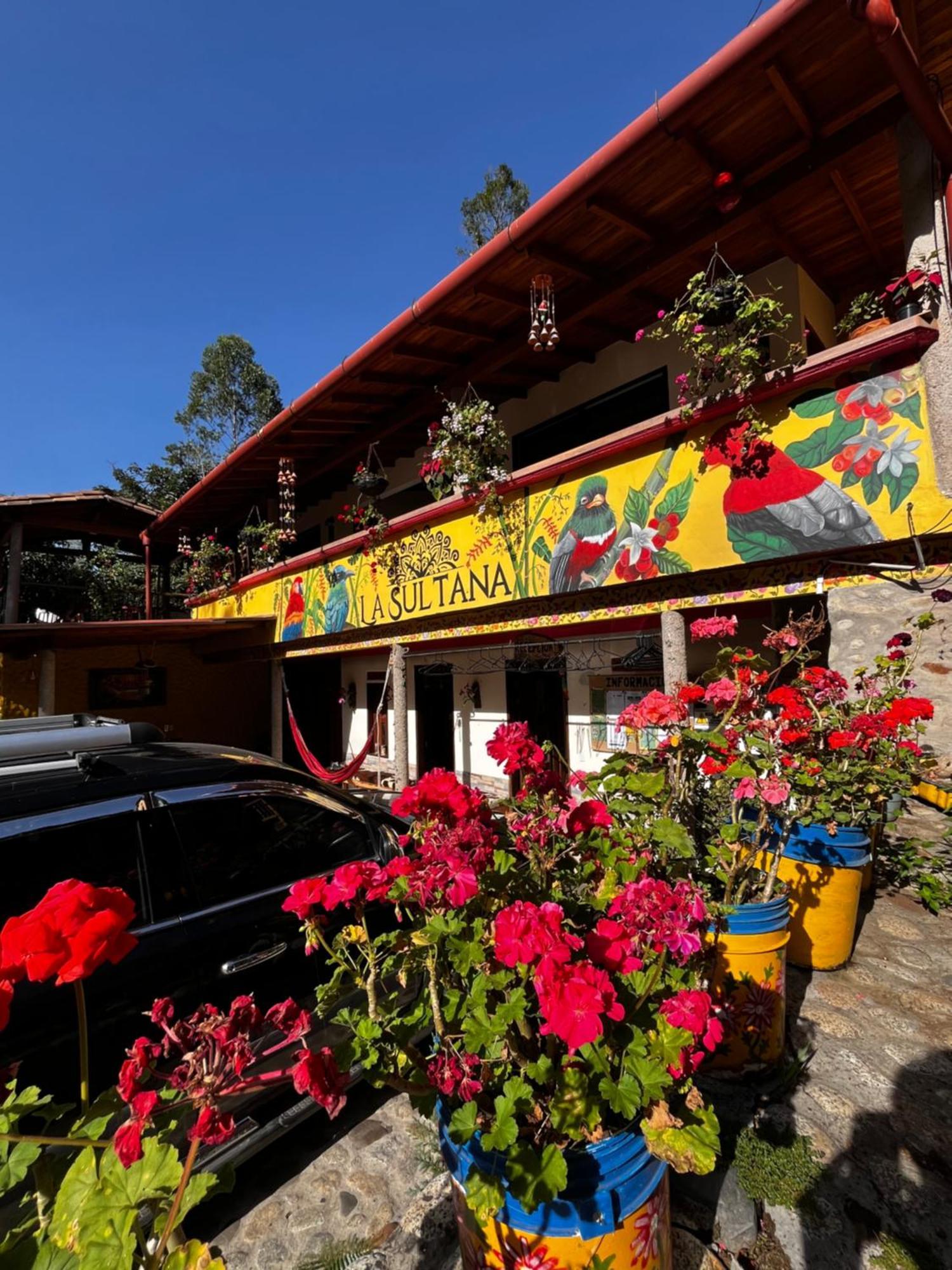 Hotel La Sultana Jardín Exteriér fotografie